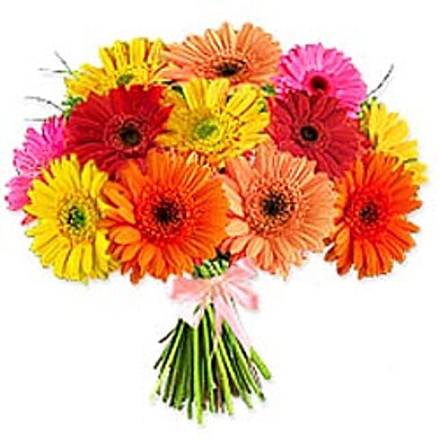 Crazy Daisy ARG