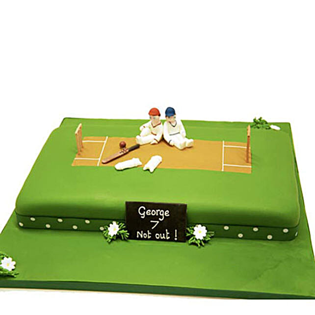 Heavenly Delights Cricket Cake 4kg Vanilla Eggless