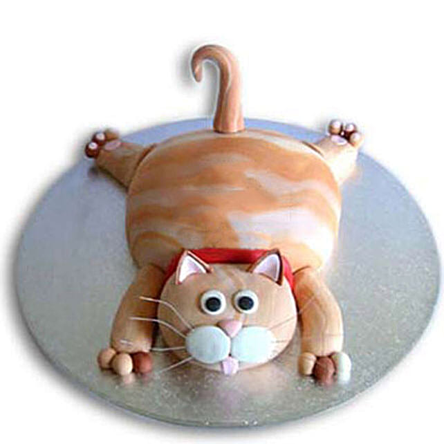 Tabby Cat Cake 4Kg Eggless Chocolate